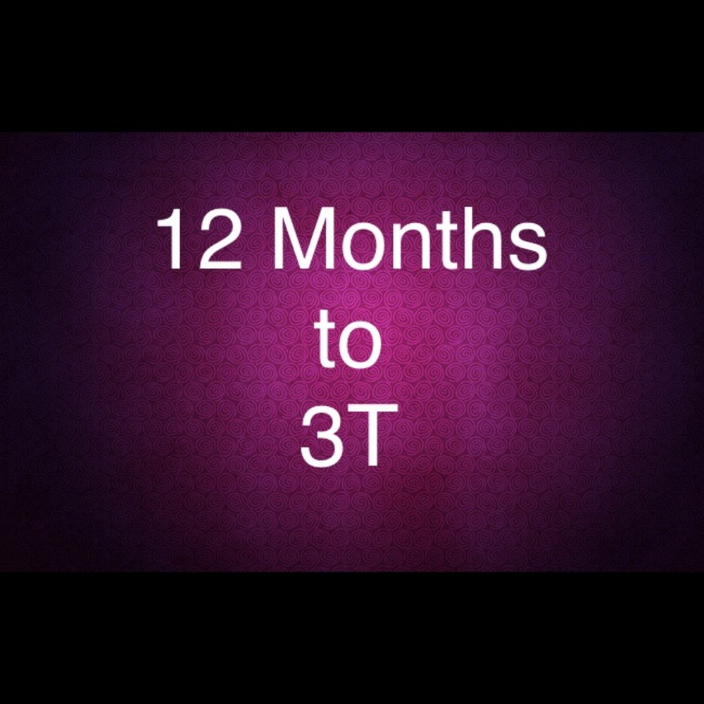 12 Months to 3T
